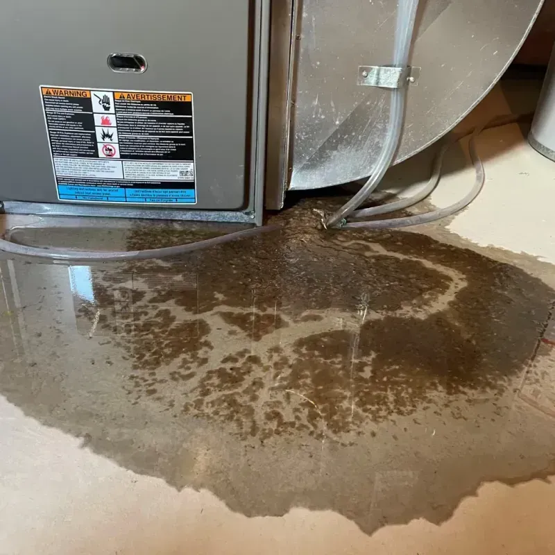 Appliance Leak Cleanup in Celina, TX